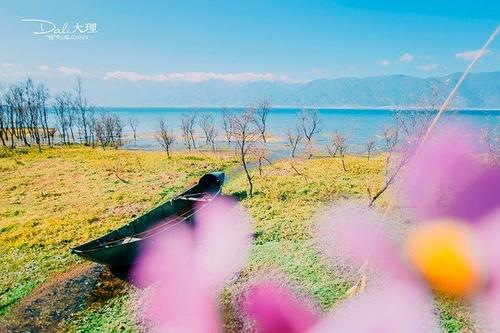 那温暖的阳光