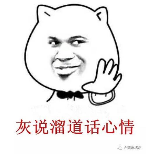 假期里有很多东西