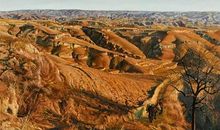 秋天的中国美院