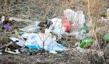 白色污染读后感