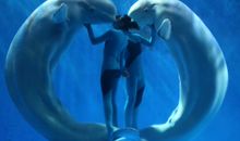 哈尔冰极地馆之旅