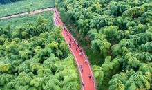 美丽的渚山葡萄园