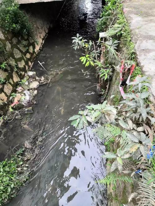 生活的味道