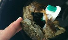 我学会了洗螃蟹