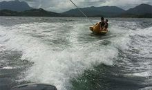 小心驶得万年船