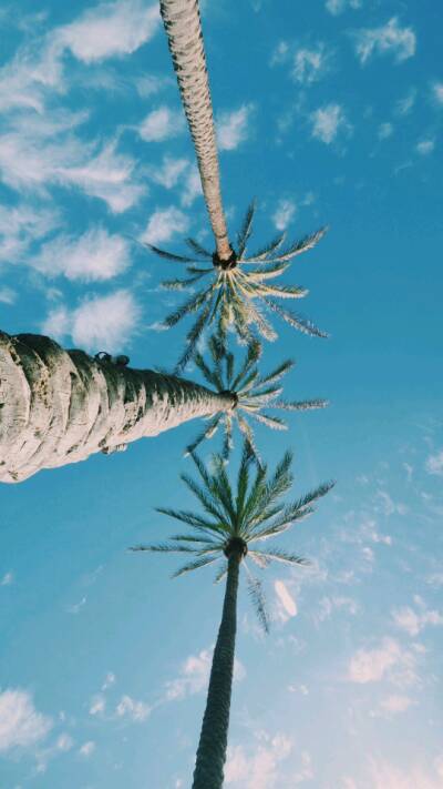夏天的兴趣