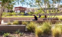 学校里的小花园