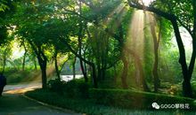 明媚的阳光照进我心房