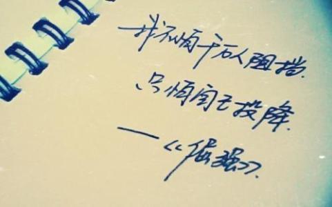 胜负在于Pinbo