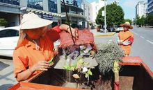 烈日下的那些人