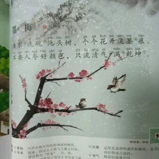 关于阅读《墨梅》的思考