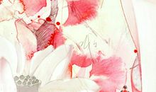 水仙已乘鲤鱼去