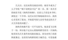 《海鸥乔纳森》读后感