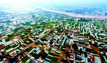 春风吹绿了田野