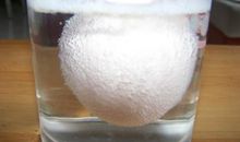 白醋泡鸡蛋观察日记