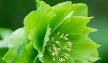 埋在时间深处的友谊