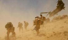 荒漠中的“战士”