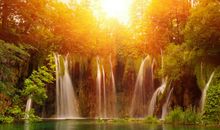 亲近自然欣赏自然