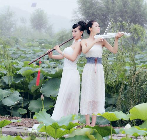 父亲像莲花一样爱