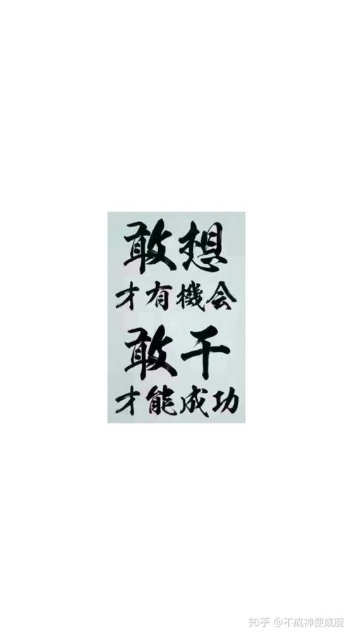 抓住机遇，实现理想