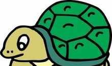 我和小乌龟之间的故事