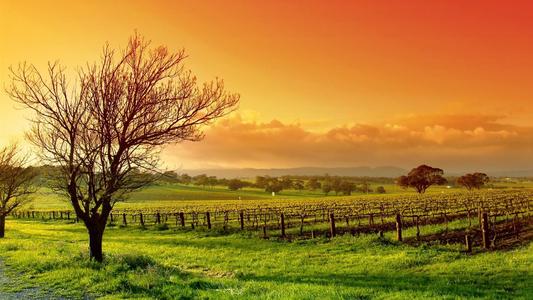 坚持不懈地写下信念