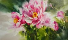 用心发现“新”