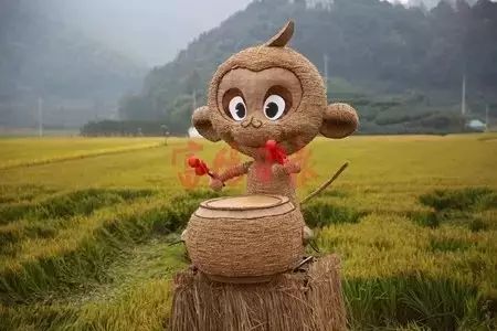 有趣的田园生活切片红薯