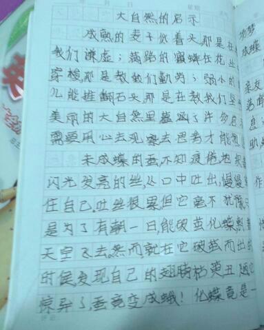 向您介绍我的四年级400字作文