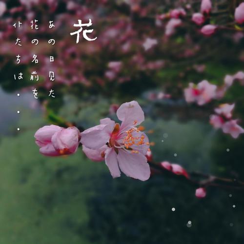看书就像春天
