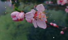 读你感觉像春天