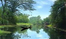 观杭州西溪湿地