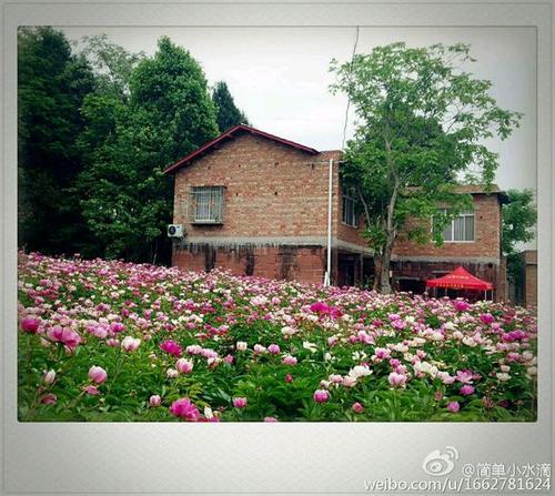 小乡村花园