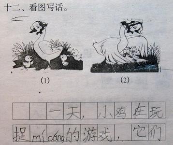 小鸡学习技能，看图片并在小学二年级写单词