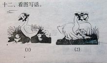 小鸡学本领看图写话二年级