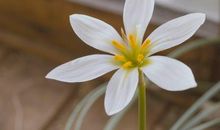 珍惜眼下无愧生活