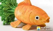 红袍金鱼的趣事