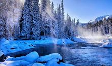 雪，你真的很美