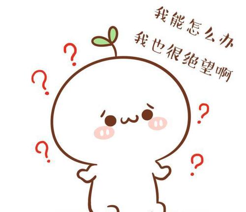 我真的错了吗？