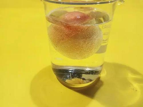 消失的蛋壳实验