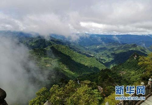 初夏的山