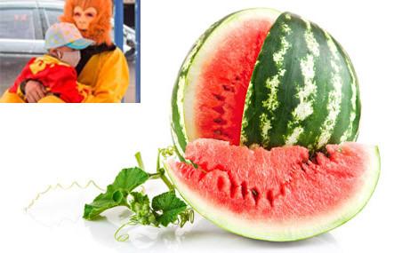 红猴卖西瓜