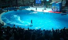 杭州极地海洋公园之旅