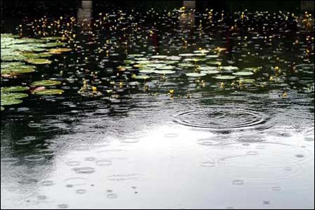 那雨一直在那里