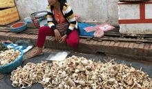 第一次去菜市场