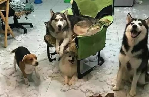 首次通话