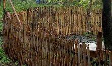 春天在外婆的小院