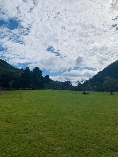 别致的乡村风光