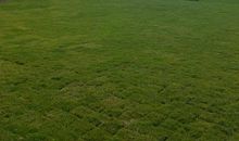 乡下的别致风景