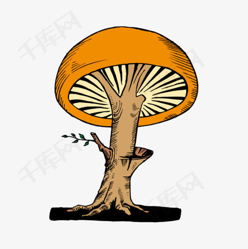 橙色的回忆